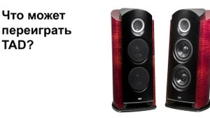 Константин Гертлейн (КГ) и TADы за 18 миллионов - как работает топовый продавец элитной акустики.