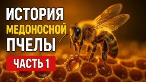 ИСТОРИЯ ПЧЕЛ — ЧАСТЬ 1 — Как пчёлы пережили динозавров?