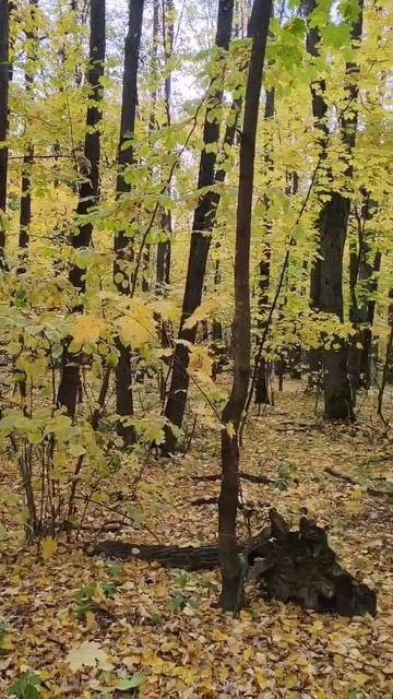 Я тут время увидел смотреть онлайн