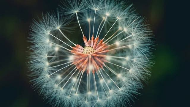 Обсуждение_темы_№_17__Финальное_столкновение_Ниспал_огонь_с_неба_