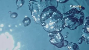 ВОДА - ОСНОВА ЖИЗНИ