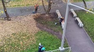 Мастер-класс от дворников