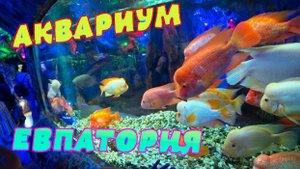 Аквариум; Евпатория