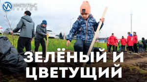 Как озеленяли Новый Уренгой в 2025 году?