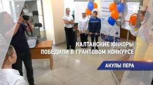 Акулы пера