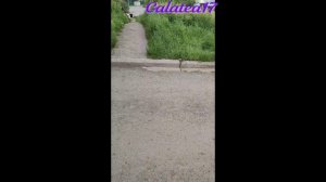 ХОЛОДНЫЙ АВГУСТ НА УРАЛЕ