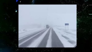 С Днём Автомобилиста Ни гвоздя ни жезла