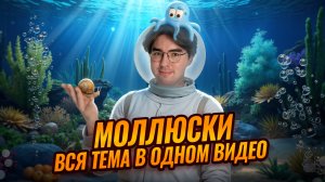 Моллюски | Полный разбор для ОГЭ по биологии | Умскул