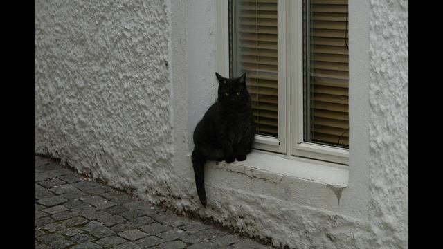 Bergen  5 августа 2006