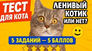 ТЕСТ НА ЛЕНЬ ДЛЯ КРТИКА БЭННИ