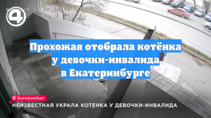 Прохожая отобрала котёнка у девочки-инвалида в Екатеринбурге
