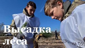 В Станично-Луганском лесоохотничьем хозяйстве появится около 85 тысяч саженцев