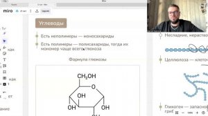 Лекция жиры, углеводы