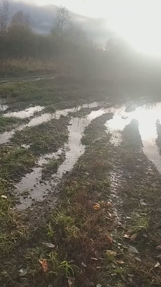 Правильно путешествуем