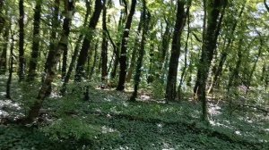 После отметки 3500 тропа снова идет в гору на тропе здоровья в Архипо-Осиповке
