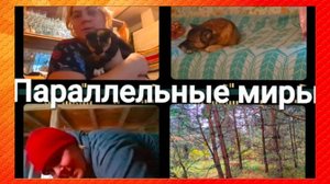 Жизнь в деревне. Бумажка друг человека.Парю над Хаусом