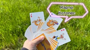 Обзор колоды карт по веселому мультфильму КотоПес