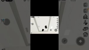 раз блочение брокхэвана