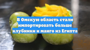 В Омскую область стали импортировать больше клубники и манго из Египта