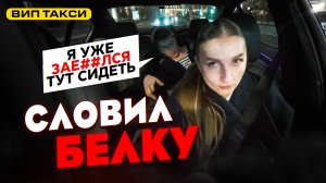 Неадекватный пассажир СЛОВИЛ БЕЛКУ в ВИП ТАКСИ