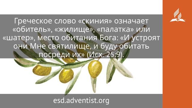 25 октября 2025. Истинная скиния. Под сенью благодати _Адвентисты