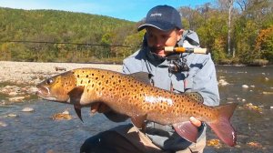 F-Select. Плавающий воблер на горной реке.