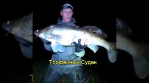 Трофейный Судак 🎣