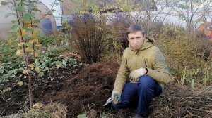 Пересаживаем клубнику "Купчиха" в подготовленный грунт🍓