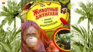 Животные джунглей. Самая первая энциклопедия