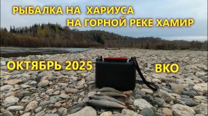 РЫБАЛКА НА ХАРИУСА. НА ГОРНОЙ РЕКЕ ХАМИР  ОКТЯБРЬ 2025  ВКО