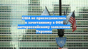 США не присоединились к зачитанному в ООН антироссийскому заявлению Украины