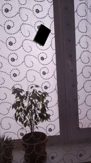 Придумали новый тренд (безопасно) смотреть онлайн