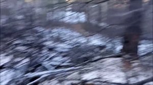 Ищу. Приключений на свою ...опу!_x264