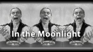 В лунном сиянии.