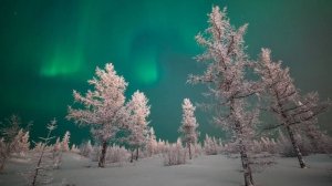 Артём Гельман - Ямал