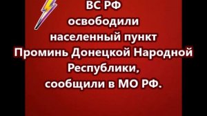 ВС РФ освободили населенный пункт Проминь Донецкой Народной Республики, сообщили в МО РФ.