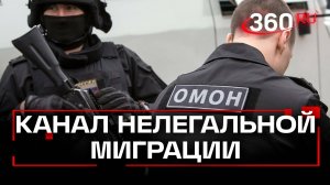 ФСБ пресекла канал нелегальной миграции в Нижнем Новгороде, суд вынес приговор