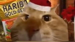 Новое интро