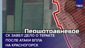 ТАСС публикует кадры из освобожденного Першотравневого в Днепропетровской области