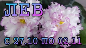 ЛЕВ таро прогноз на неделю с 27 ОКТЯБРЯ по 2 НОЯБРЯ 2025 года.