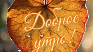 С Добрым Утром - Сегодня суббота 🤗 #утросубботы