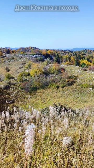 плато Черногор