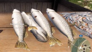 Русская Рыбалка 19 Уровень на Уклейке