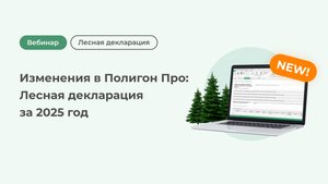 Изменения в Полигон Про: Лесная декларация за 2025 год