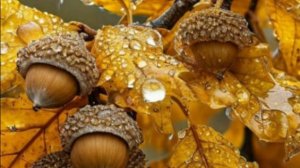 Доброго утра! Замечательного дня! Красивая музыкальная открытка с добрым утром!