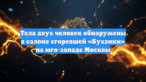 Тела двух человек обнаружены в салоне сгоревшей «Буханки» на юго-западе Москвы