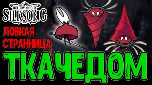 ХК СС 9 + ткачи и мухи док