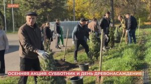 В Шахтах провели субботник и День древонасаждения