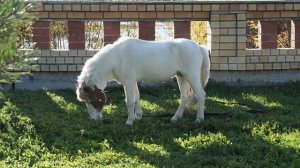 Золотая осень в санатории Обуховский