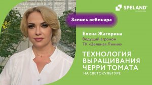 Вебинар: технология выращивания черри томата на светокультуре